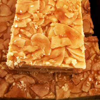 Honig-Mandelschnitten