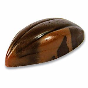 Kakaobohne